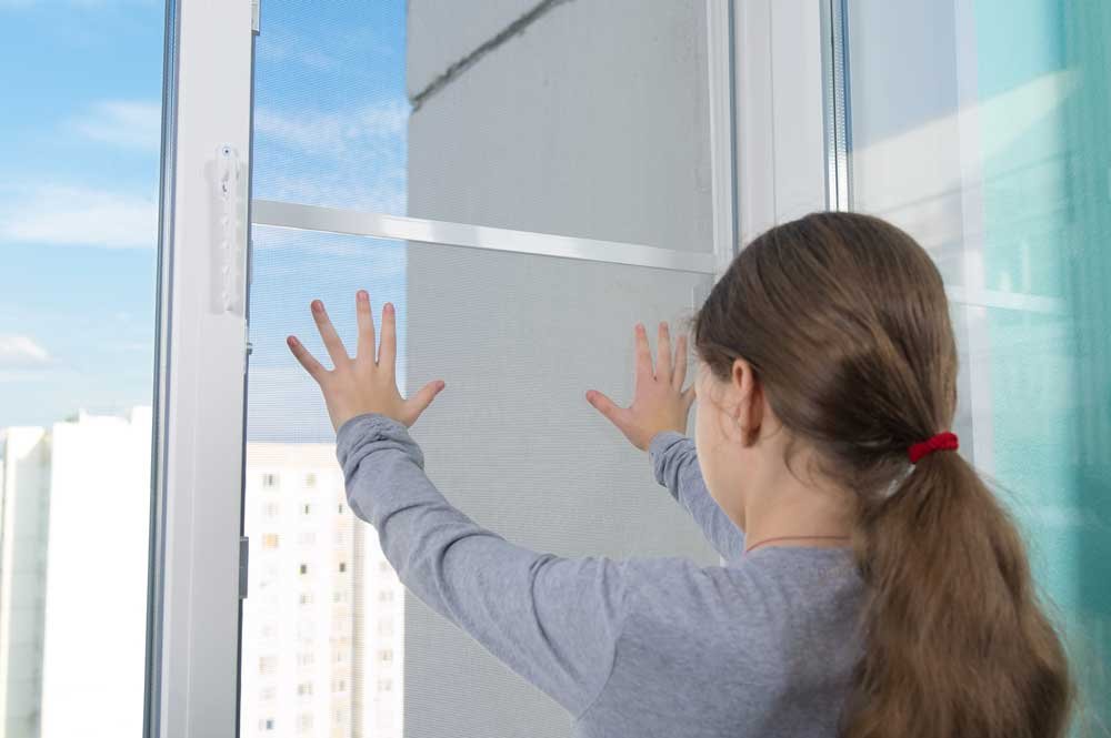 insektenschutz_fenster